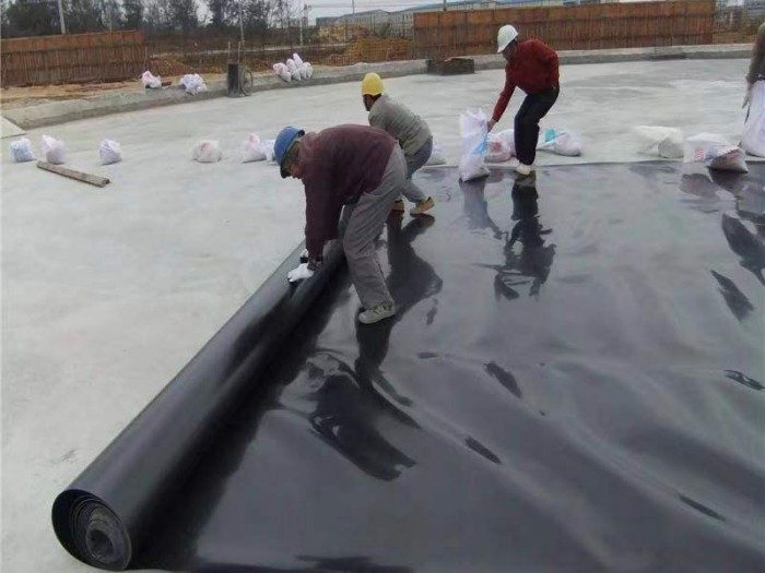 鱼塘防渗膜铺设施工过程