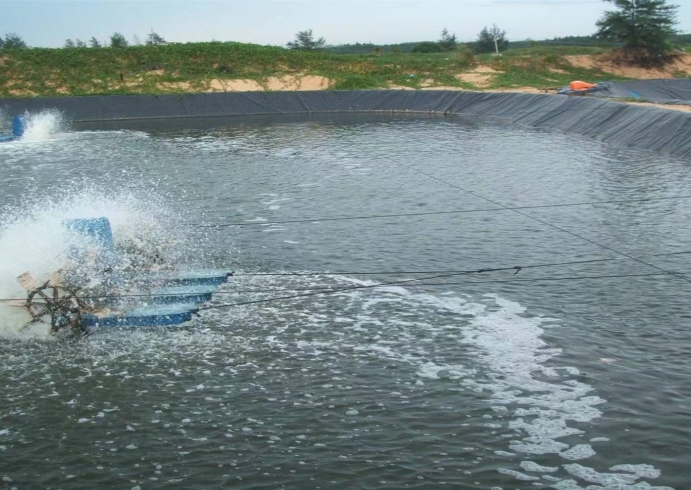 用防渗膜建长方形鱼池应注意什么