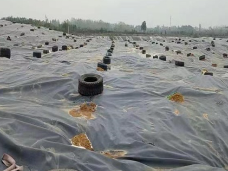 垃圾填埋场土工膜施工细则