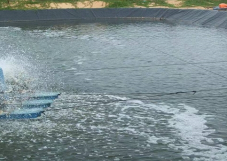 养鱼池铺设防渗膜，优势显著